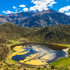 Colca Valley